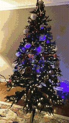 Our Christmas tree, decorated.
