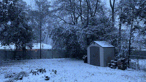 Our backyard tool shed, covered in snow.