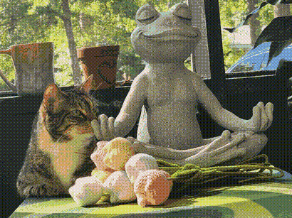 Our cat, Cabbage, on the porch.