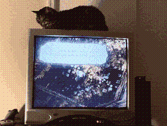 Our cat, Cabbage, laying atop a CRT playing Vagrant Story.