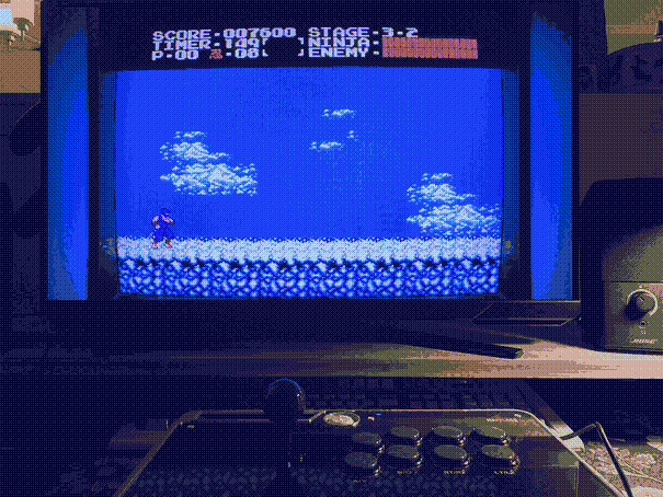 The NES game, Ninja Gaiden.