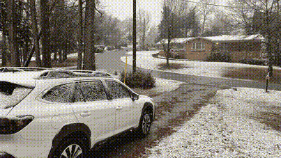 Our snow day last year.