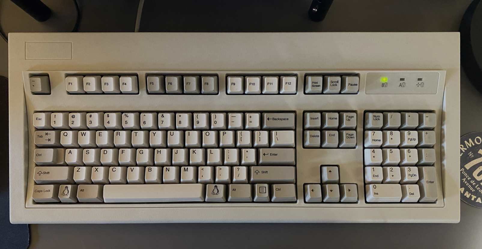 my beige unicomp model M keyboard.